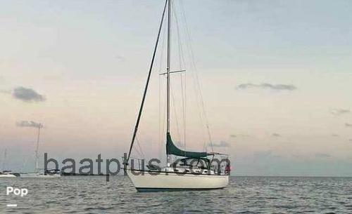 Tartan 33 	Spesifikasjoner og anmeldelser